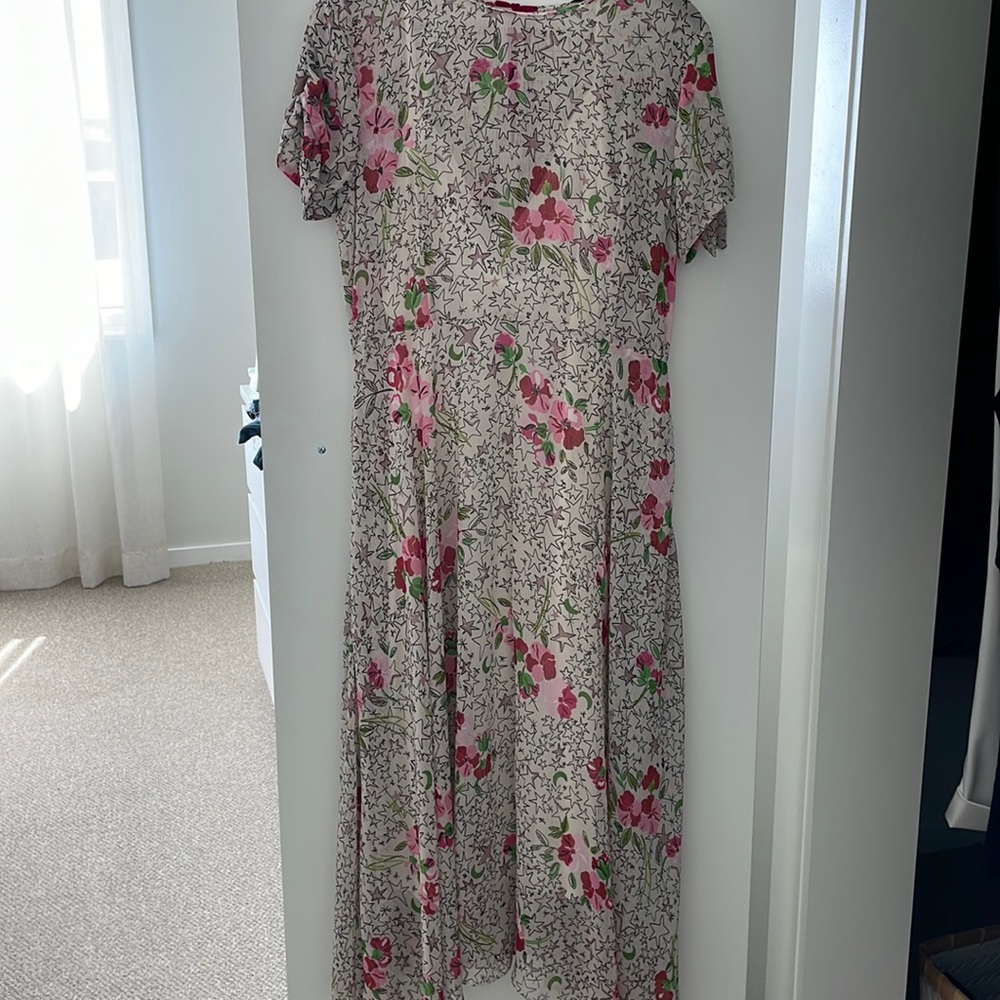 NWOT beautiful sheer floral Zara dress with slip dress. Size L